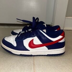 Nike USA colorway Low top Dunks